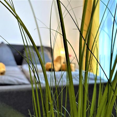 Gemuetliches Studio Im Bayerwald +Pool +Sauna +Wifi Zwiesel Kültér fotó