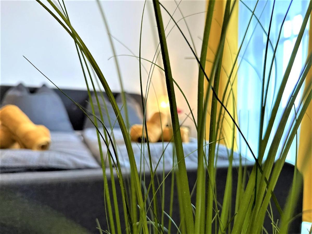 Gemuetliches Studio Im Bayerwald +Pool +Sauna +Wifi Zwiesel Kültér fotó