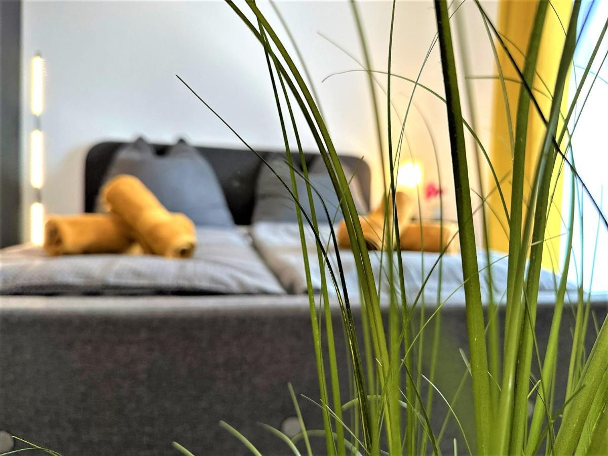 Gemuetliches Studio Im Bayerwald +Pool +Sauna +Wifi Zwiesel Kültér fotó